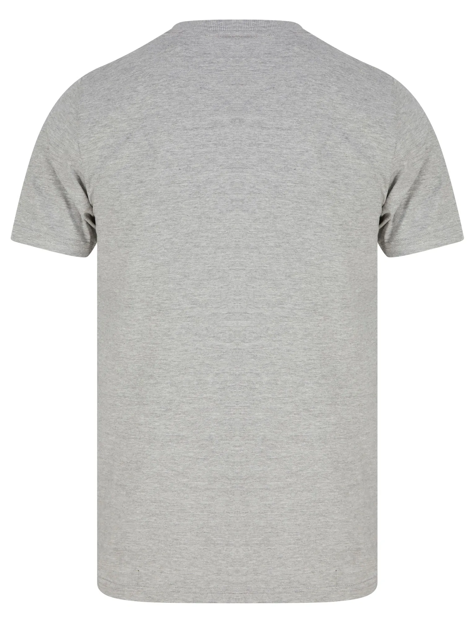 Tokyo Vipers Motif Cotton Jersey T-Shirt in Light Grey Marl - Tokyo Laundry