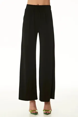 Wide Leg Pleated Pant